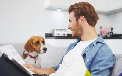 Importance of Pet Insurance